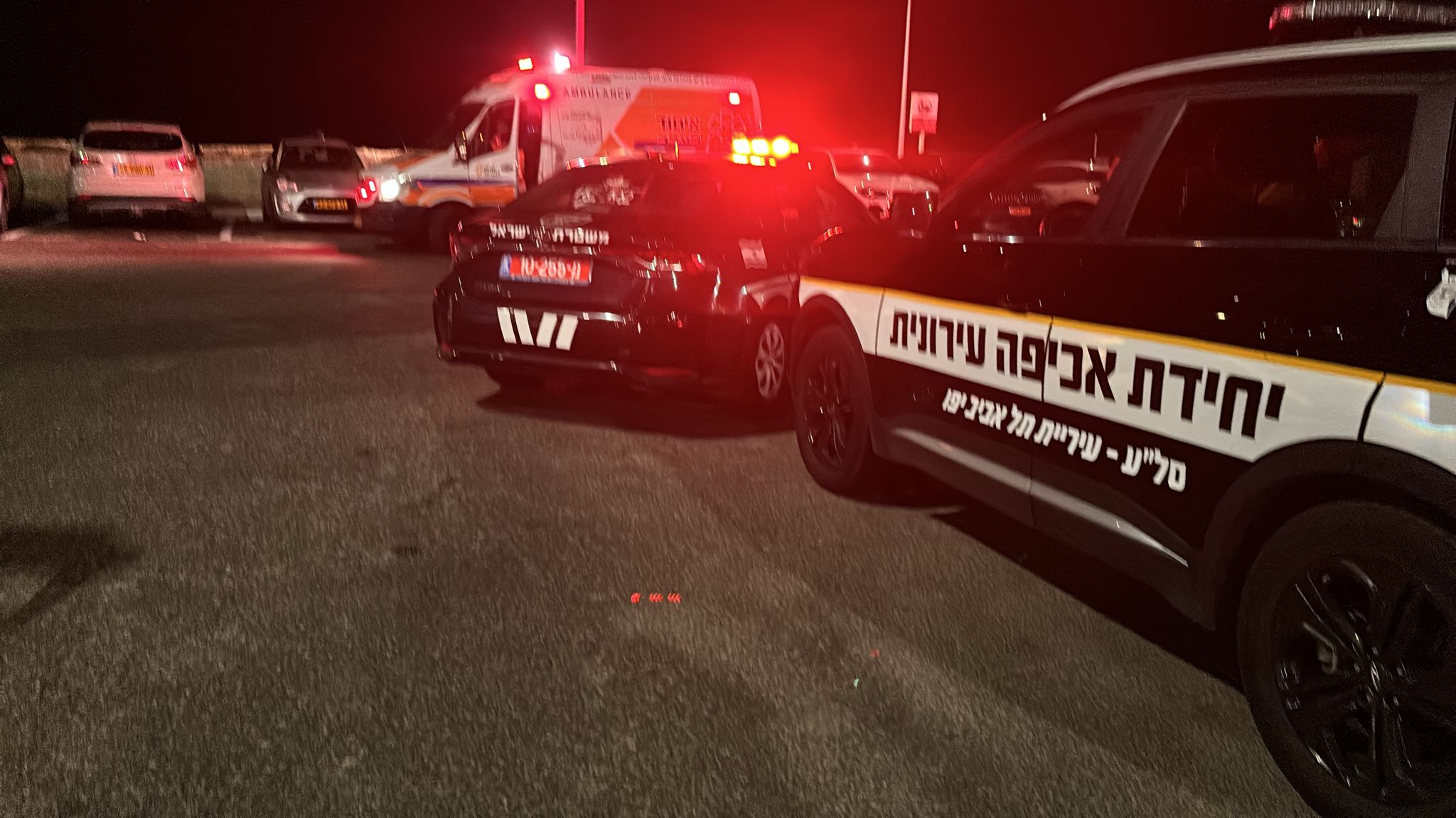 WhatsApp Image 2024-06-20 at 23.18.09.jpeg